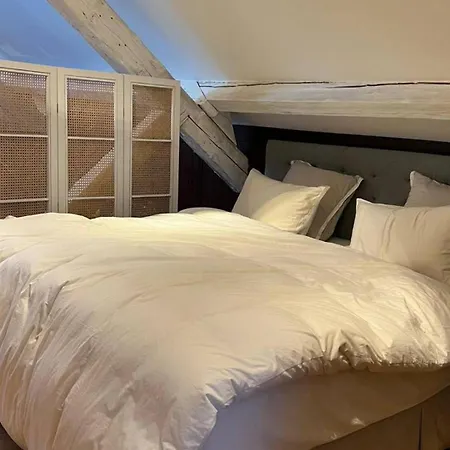 4br Exclusivist With Modern Art Genève