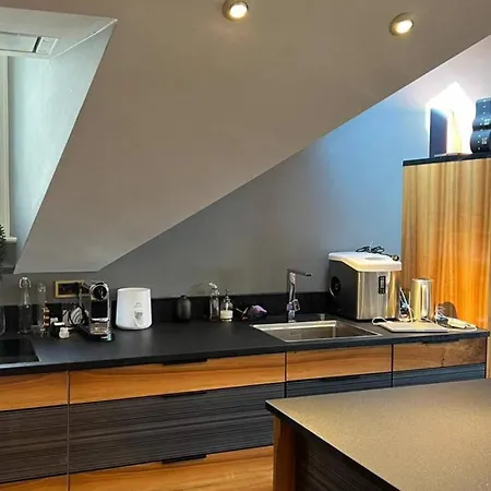 4br Exclusivist With Modern Art * Genève