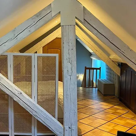 4br Exclusivist With Modern Art Appartement